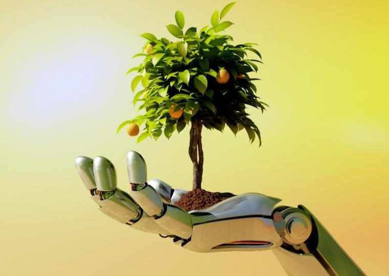 Canalizacion electrica