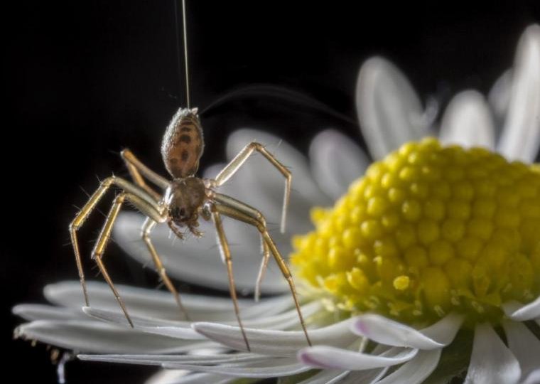 Equipo electrico de mediana tension